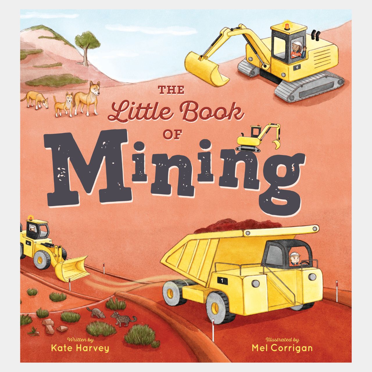 The Little Book of Mining